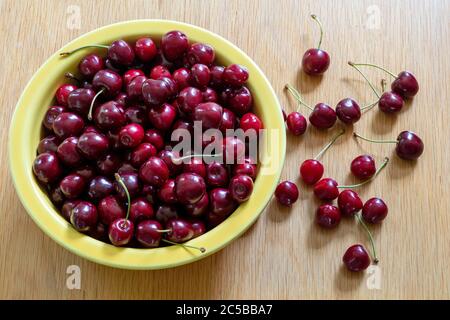 Bowl of Michigan Sweet Cherries, Hedelfingen (German), variety, USA, by James D Coppinger/Dembinsky Photo Assoc Stock Photo