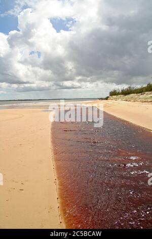 Tea Tree Creek, Fraser Island Stock Photo