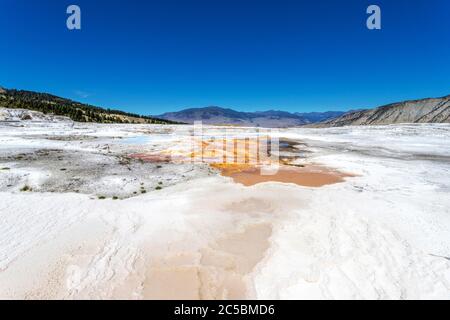Close up of the volcanic Canary Spring thermal area of Main Terrace at Mammoth Hot Springs in Yellowstone National Park, USA. Stock Photo
