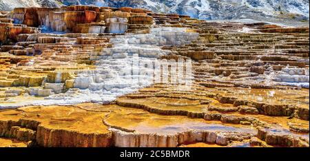 Panoramic close up of Jupiter and Mound Terraces at Mammoth Hot Springs in Yellowstone National Park, where travertine formations and flowing hot wate Stock Photo