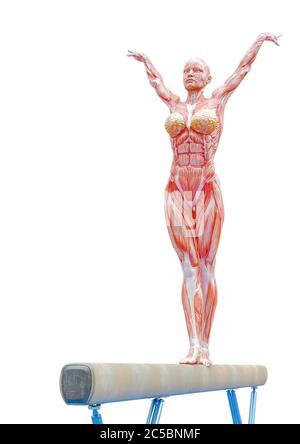 muscle woman doing a gymnastic on balance beam in white background, 3d illustration Stock Photo