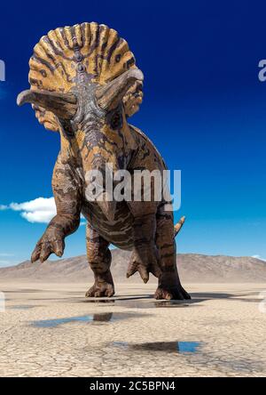 triceratops is standing up on the desert after rain, 3d illustration Stock Photo