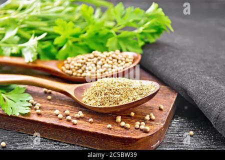 Coriander seeds and ground in two spoons, green fresh cilantro and a napkin on black wooden board background Stock Photo