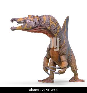 spinosaurus looking for food in white background, 3d illustration Stock Photo