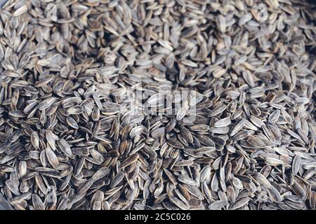 Dry roasted and salted sunflower seeds Stock Photo