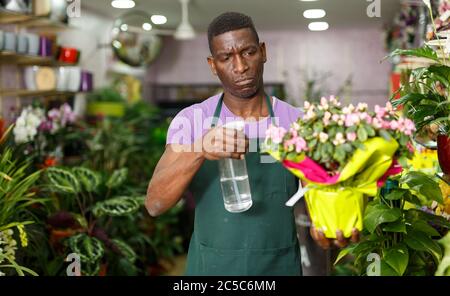 Experienced African American male florist inspecting potted plants in Experienced African American male florist inspecting potted plants in