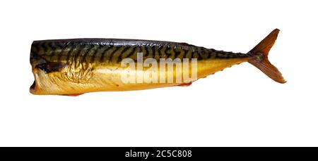 Top view of one cold smoked headless scomber. Isolated over white background Stock Photo