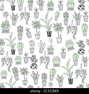 Template. Seamless pattern of indoor plants in pots on a white background. Flowers, tulips, cactus and seedlings in geometric vases. The concept of Stock Vector