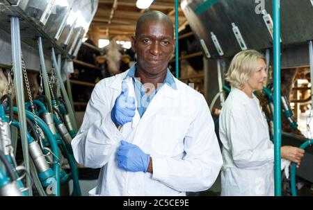 Male milker inspecting milking system on dairy farm Stock Photo