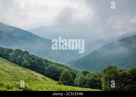 Green hills covered by fog Stock Photo