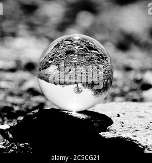 Grayscale shot of a tree reversely reflecting in a crystal ball on a blurred background Stock Photo