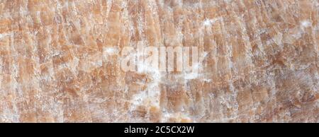 Rough texture of a salt stone in closeup Stock Photo