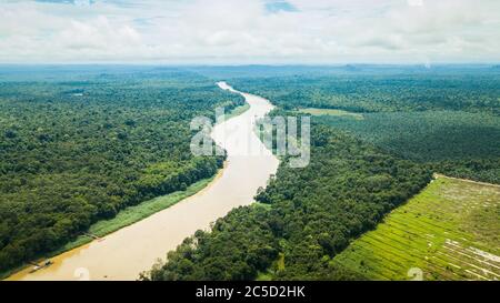 Aerial of Oil Palm plantation, Kinabatangan, Sabah, Malaysia Stock ...