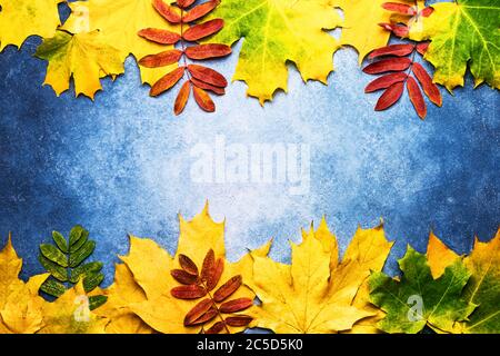 Autumnal composition. Border made of yellow and red leaves on blue background. Autumn, fall, thanksgiving day concept. Flat lay, copy space for text Stock Photo
