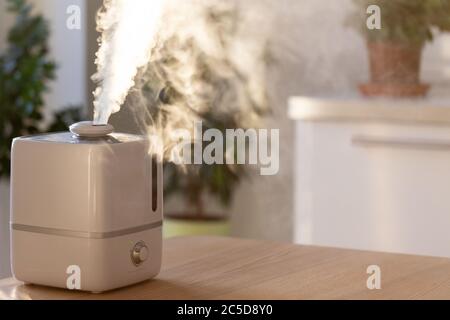 Close up of aroma oil diffuser on the table at home, steam from the air humidifier, houseplants on background. Ultrasonic technology, increase in air Stock Photo