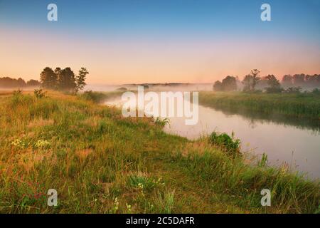 Wild meadow, blooming flowers. Beautiful summer sunrise rural landscape. Morning fog on river. River Neman, Belarus Stock Photo