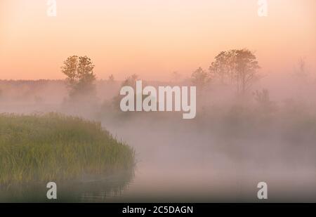 Beautiful summer sunrise rural landscape. Morning fog on river. Trees misty reflection in water. River Neman, Belarus