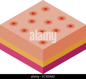 skin rash disease isometric icon vector illustration Stock Vector Image ...
