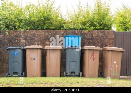 Row of brown and black recycling wheelie bins neatly lined up in front of a brick wall ready to be emptied by refuse collectors. Hertfordshire. UK Stock Photo