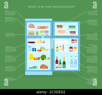 Infographic Refrigerator With Food Icons Flat Style Illustration Stock Vector