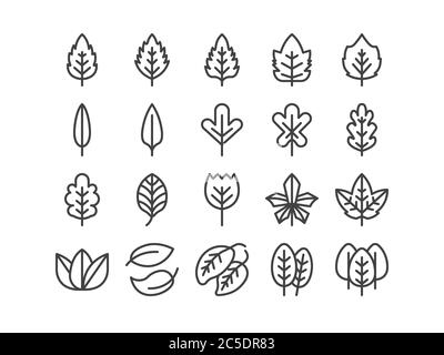 Leaf Outline line Icon Set Autumn fall and Spring Concept Minimal Style Illustration Vector EPS 10. Editable Stroke Stock Vector