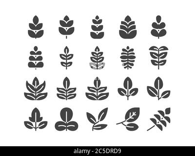 Compound Leaf Solid Glyph Icon Set Spring Concept Luxury Illustration Vector EPS 10. Stock Vector