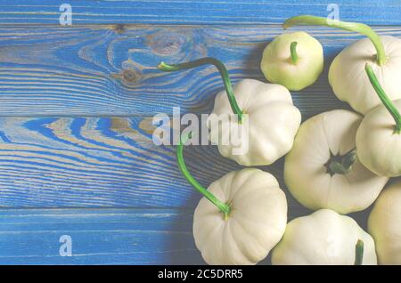 Harvest of organic garden vegetables. Young patisons lie on a wooded table