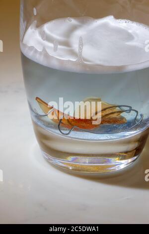 Hawley bow orthodontic teeth retainer in glass of denture cleanser Stock Photo