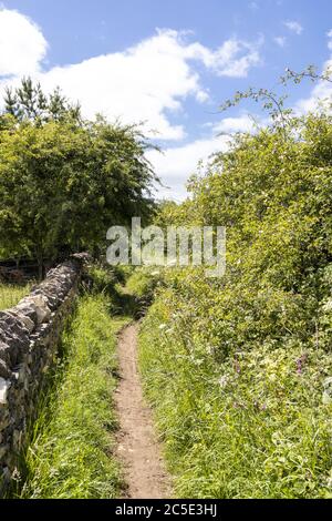 Campden Lane (an ancient drovers road) now a bridleway on the Cotswold Hills near the hamlet of Farmcote, Gloucestershire UK Stock Photo