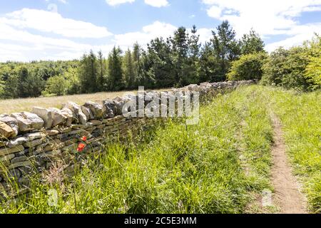 Campden Lane (an ancient drovers road) now a bridleway on the Cotswold Hills near the hamlet of Farmcote, Gloucestershire UK Stock Photo