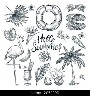 Hello summer calligraphy lettering and tropical design elements set. Vector doodle sketch illustration. Vacation, sea beach holiday hand drawn icons, Stock Vector
