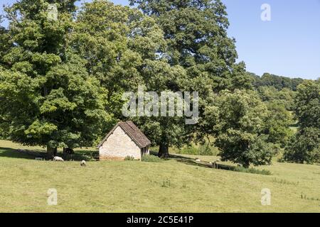 An old stone sheepfold or sheep pen in the Cotswold village of Temple Guiting, Gloucestershire UK Stock Photo