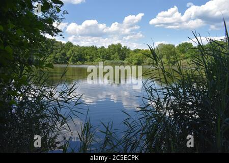 Scenic views of Lake Marlu at Thompson Park in Holmdel, New Jersey, USA, on a mostly sunny day with puffy cumulus clouds Stock Photo