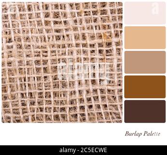 closeup of fabric chart swatches choice for interior design Stock Photo ...