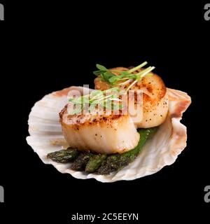 Studio closeup of seared scallops, garnished with pea shoots and served on a bed of asparagus, presented on a scallop shell. Isolated on black backgro Stock Photo