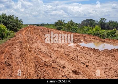 Large rain puddles in red mud of the Linden-Lethem dirt road linking Lethem and Georgetown in the rainy season, Guyana, South America Stock Photo