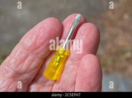 Tiny screwdriver ready for action... Stock Photo