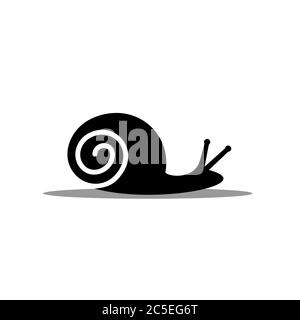 Vector illustration of snail, silhouette design with shadow, isolated on white background. Stock Vector