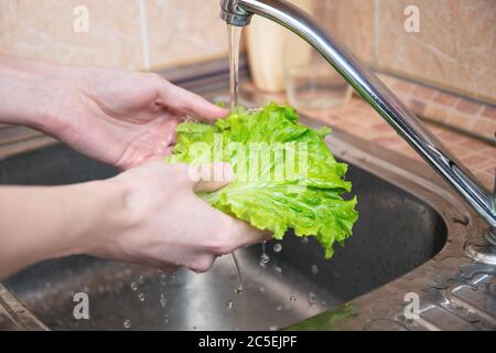 Man's hands washing lettuce leaves. Water flowing on green lettuce. Part of vegetarian snack. hygiene, health care and safety concept. Stock Photo