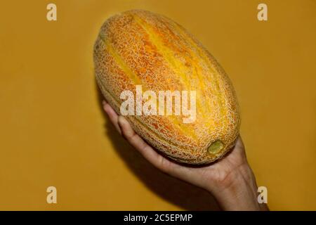 hand holding Muskmelon sugar melon fruits healthy food, whole and slice of japanese melons. selective focus with blur. Stock Photo