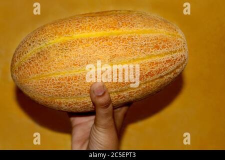 hand holding Muskmelon sugar melon fruits healthy food, whole and slice of japanese melons. selective focus with blur. Stock Photo
