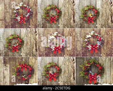 Unique set et of nine Christmas wreaths hanging on a wooden wall with assorted  winter birds perched inside each.