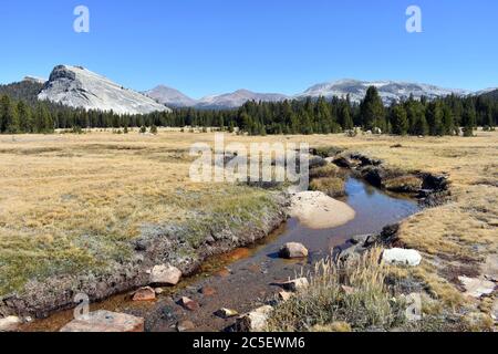 View of Tuolumne Meadows in Fall / Autumn with Lembert Dome and the Tuolumne River surrounded by yellow grass. Yosemite National Park, California. Stock Photo