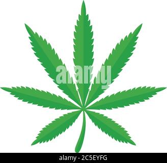 Marijuana Green Leaf Plant Cannabis Weed Drug Illustration Vector Stock Vector