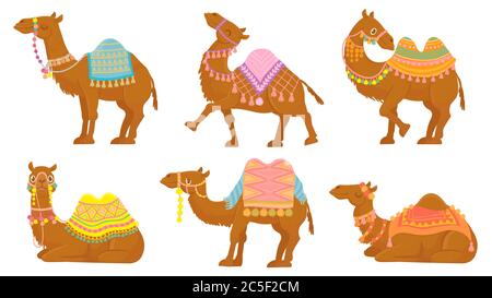 Cartoon camel. Funny desert animals with saddle. Camels vector isolated characters set. Wild Arabian pet Stock Vector