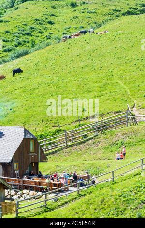 Sankt Barbara im Mürztal: mountain Hohe Veitsch (Veitschalpe), alp Schalleralm in Hochsteiermark, Steiermark, Styria, Austria Stock Photo