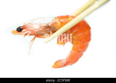 shrimp on white background Stock Photo