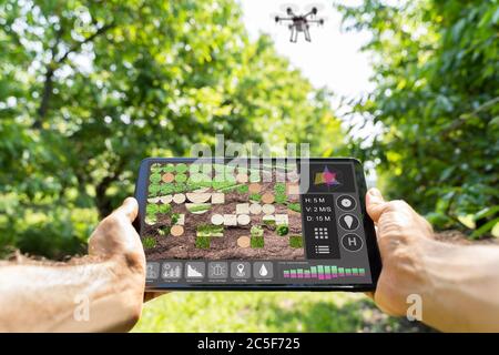 Smart Farming Digital Technology Agriculture App At Farm Stock Photo
