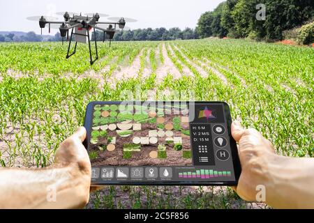 Modern Smart Farming Agriculture Technology At Farm Or Field Stock Photo