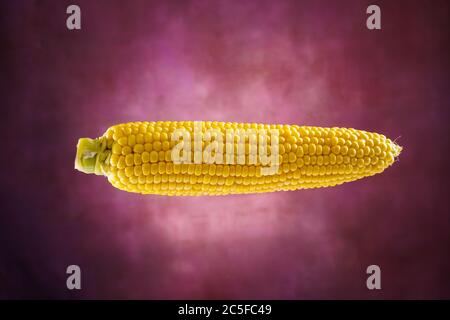 Corn isolated on retro purple background Stock Photo